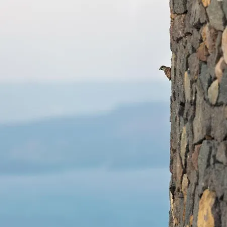 埃美恩别墅酒店 公寓式酒店 易莫洛林